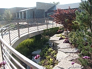 Western Michigan [2009] 202